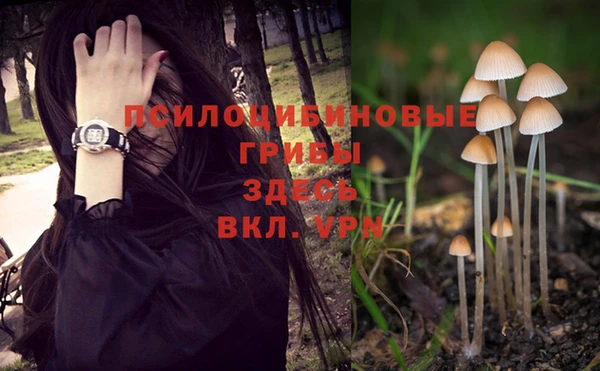 MESCALINE Новый Уренгой